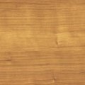Вишня Гамильтон GC