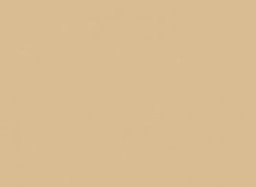 AB20 Absolute Beige