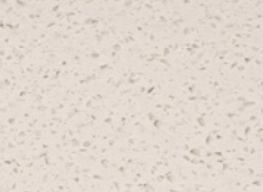 B001 Ivory Essence B-001