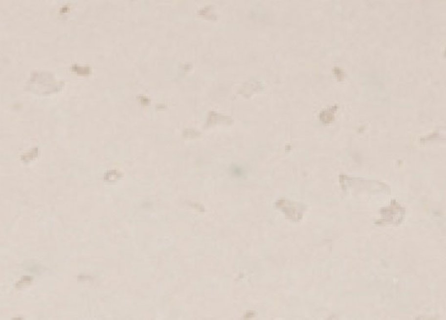 C002 Cubic Ivory C-002