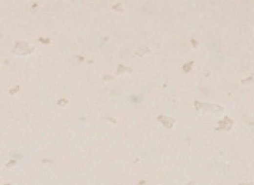 C002 Cubic Ivory C-002