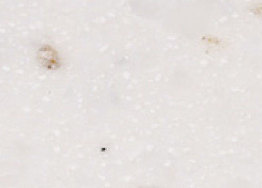 C008 Cubic Nebulous C-008