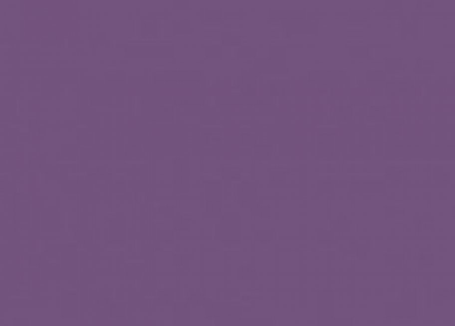 CA20 Chic Aubergine