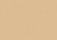 AB20 Absolute Beige