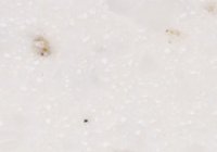 C008 Cubic Nebulous C-008