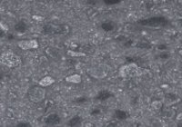 GL03 Libra GL-003