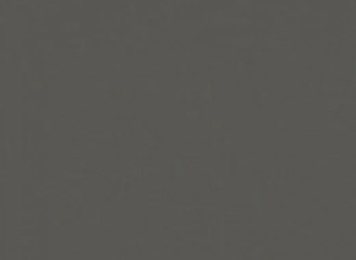 DG20 Deep Gray