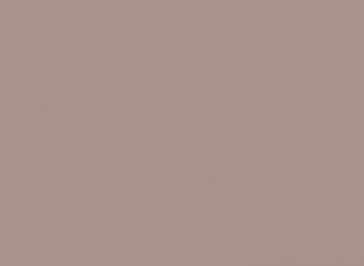 DT10 Distinct Tan