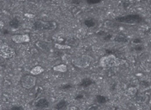 GL03 Libra GL-003