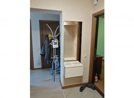 push-kot-prih-2