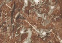 0208 Бильбао коричневый