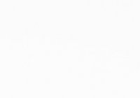 S008 N-White S-008