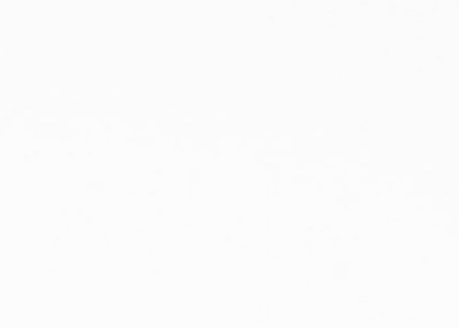 S008 N-White S-008