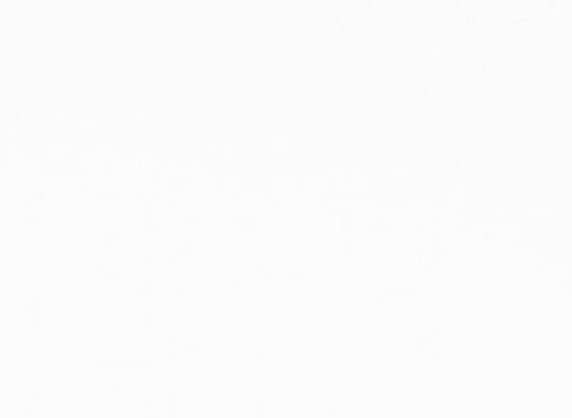 S008 N-White S-008