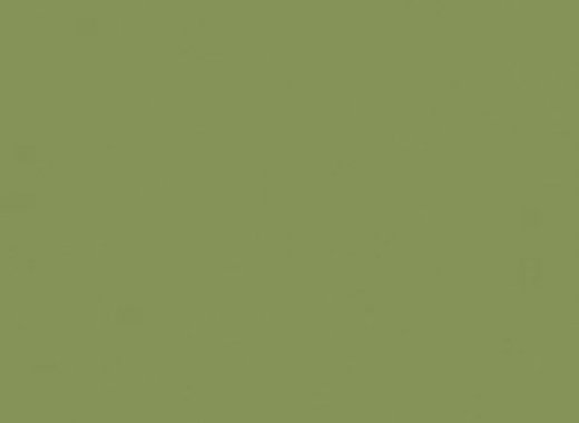BG21 Blooming Green