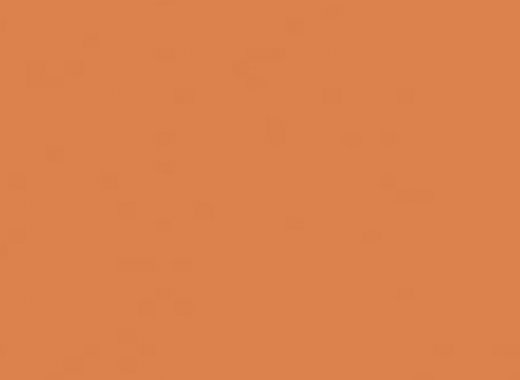 CO20 Citrus Orange