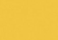 IY20 Imperial Yellow