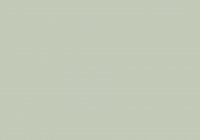 SG13 Seagrass