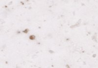 T068 Ricecookie T-068