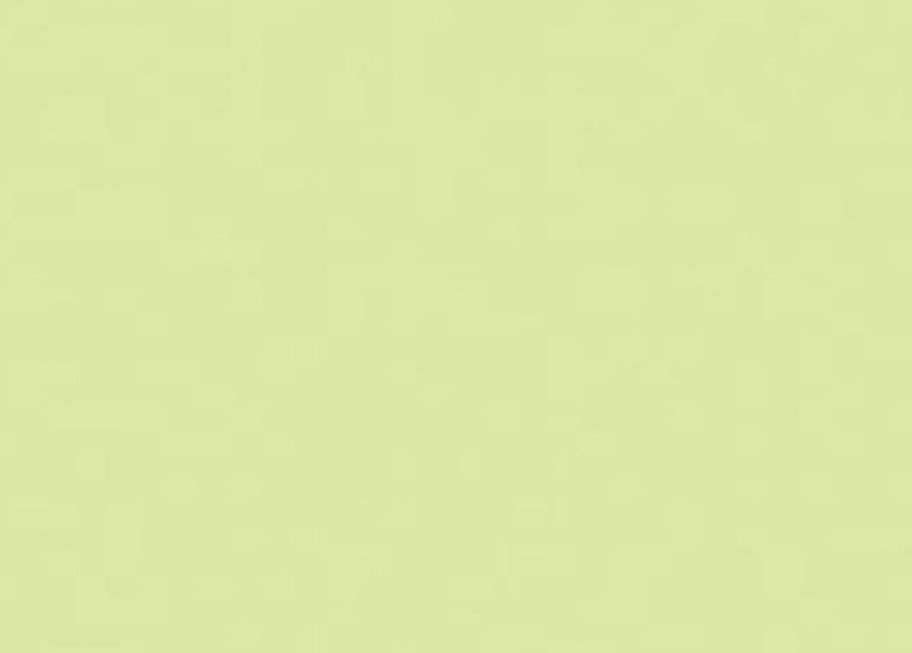 LI10 Lime Ice