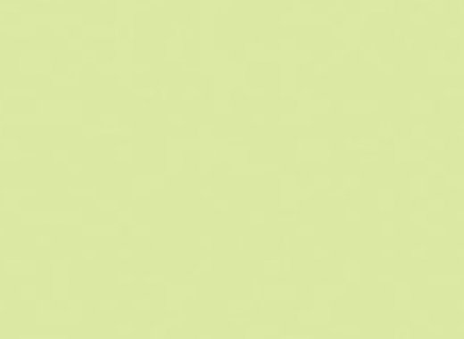 LI10 Lime Ice