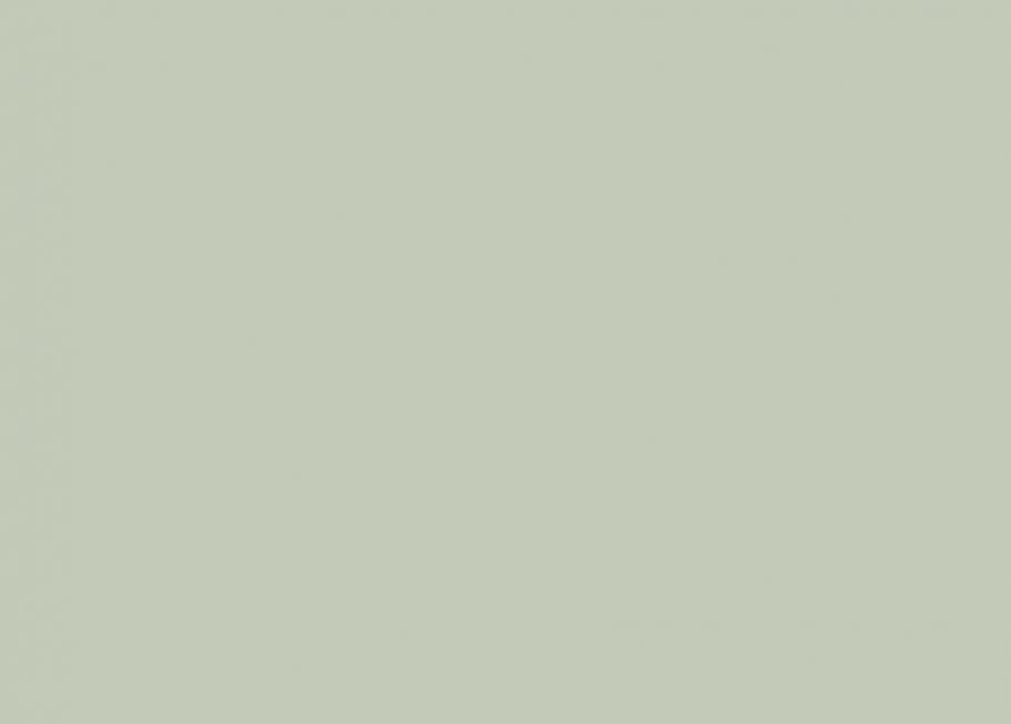 SG13 Seagrass