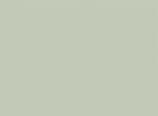 SG13 Seagrass