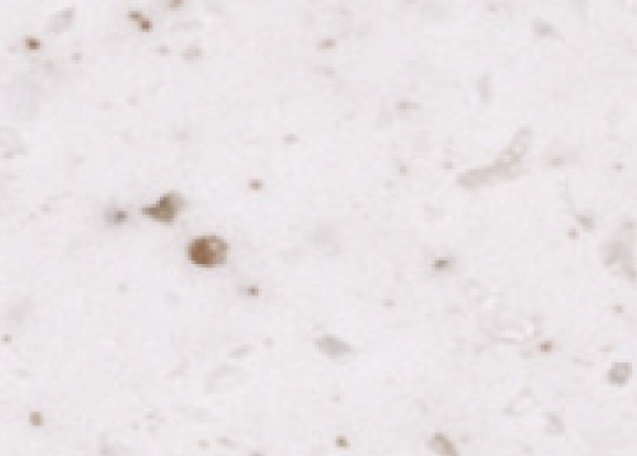 T068 Ricecookie T-068