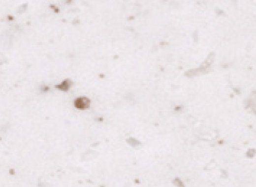 T068 Ricecookie T-068