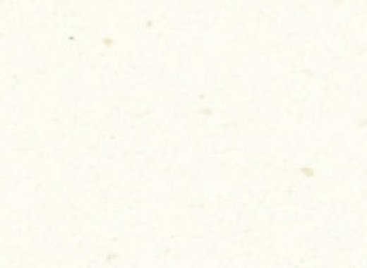 WJ20 White Jasmine