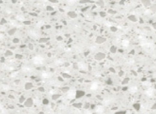 SB41 Silver Birch